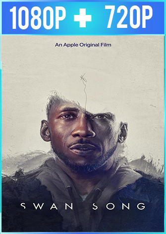 El canto del cisne 2021 ES EN